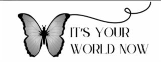IT'S YOUR WORLD NOW