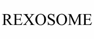 REXOSOME