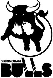 BIRMINGHAM BULLS