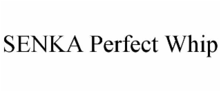 SENKA PERFECT WHIP