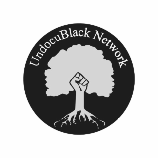 UNDOCUBLACK NETWORK