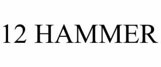 12 HAMMER