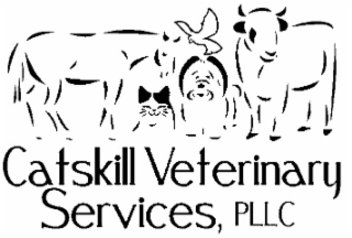 CATSKILL VETERINARY SERVICES, PLLC