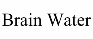 BRAIN WATER