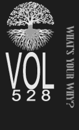 VOL 528 WHAT'S YOUR WHY?