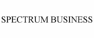 SPECTRUM BUSINESS