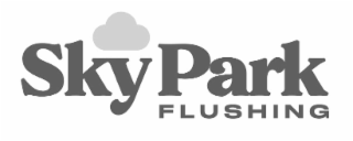 FLUSHING SKYPARK