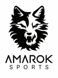 AMAROK SPORTS
