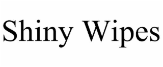 SHINY WIPES