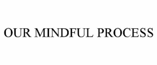 OUR MINDFUL PROCESS
