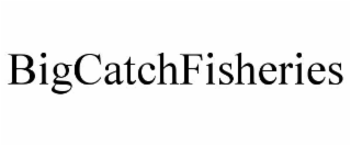 BIGCATCHFISHERIES