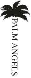 PALM ANGELS