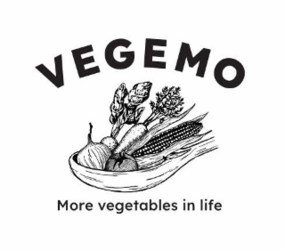 VEGEMO MORE VEGETABLES IN LIFE