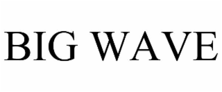 BIG WAVE