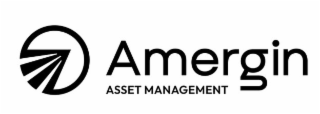 AMERGIN ASSET MANAGEMENT
