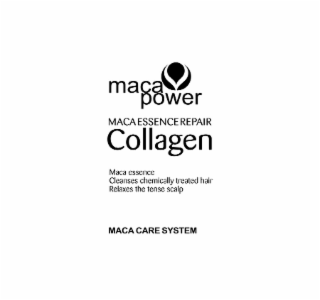MACA POWER MACA ESSENCE REPAIR COLLAGEN MACA ESSENCE CLEANSES CHEMICALLY TREATED HAIR RELAXES THE TENSE SCALP MACA CARE SYSTEM