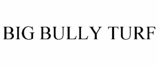 BIG BULLY TURF