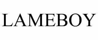 LAMEBOY