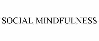 SOCIAL MINDFULNESS