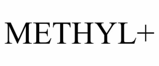 METHYL+