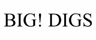 BIG! DIGS