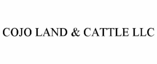 COJO LAND & CATTLE LLC