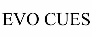 EVO CUES