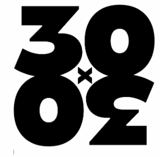 30 X 30