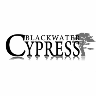 BLACKWATER CYPRESS