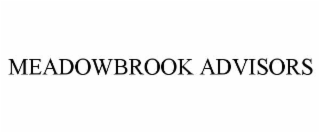 MEADOWBROOK ADVISORS