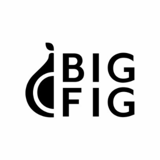 BIG FIG