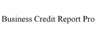 BUSINESS CREDIT REPORT PRO