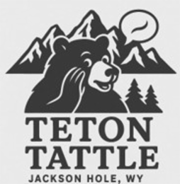 TETON TATTLE JACKSON HOLE, WY