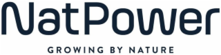 NATPOWER GROWING BY NATURE