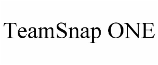 TEAMSNAP ONE