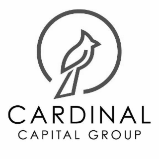 CARDINAL CAPITAL GROUP