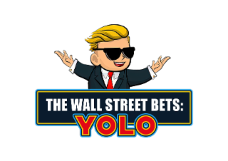 THE WALL STREET BETS: YOLO