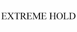 EXTREME HOLD