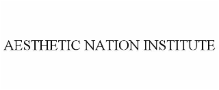 AESTHETIC NATION INSTITUTE
