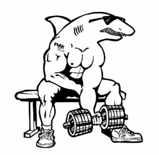 FLEX