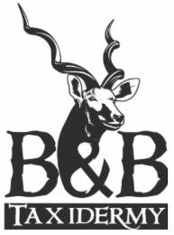 B&B TAXIDERMY