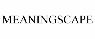 MEANINGSCAPE