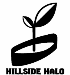 HILLSIDE HALO