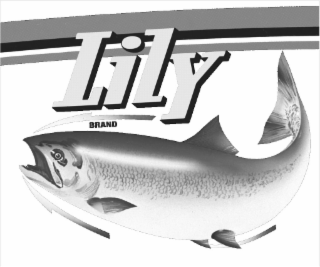 LILY BRAND