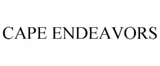 CAPE ENDEAVORS