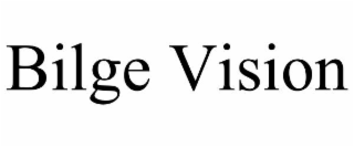 BILGE VISION