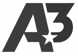 A3