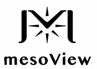 M MESOVIEW