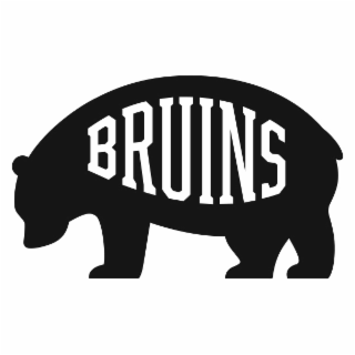 BRUINS