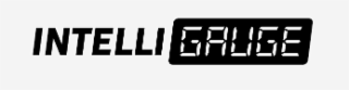 INTELLI GAUGE